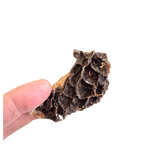 Dehydrated Green Beef Tripe