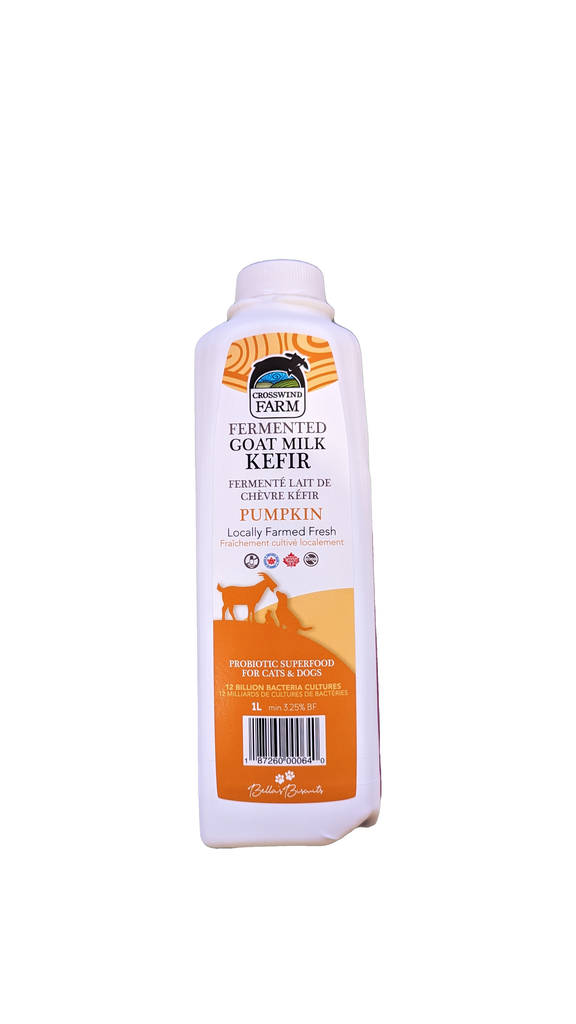 Milk kefir for dogs best sale