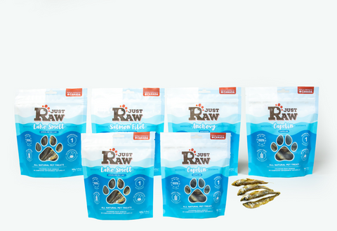 Fish Lovers Bundle