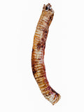 Dehydrated Beef Trachea  (Large - 1 piece)