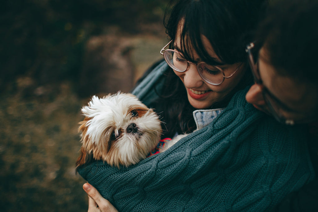 8 Signs You’re Ready to Get a Dog