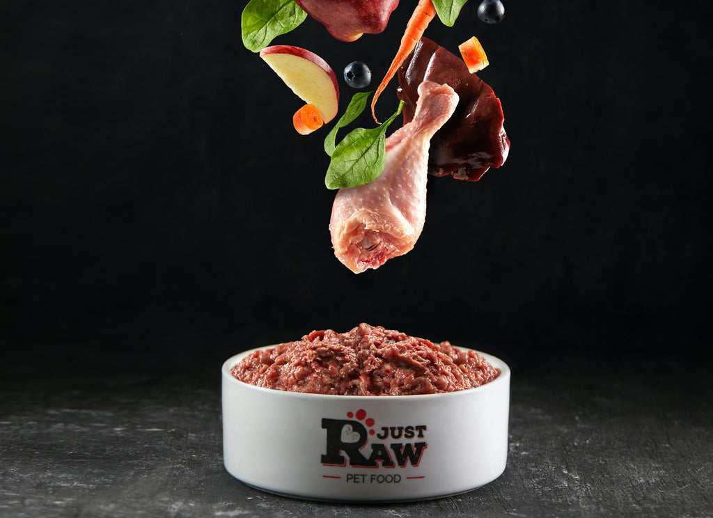 How Much Raw Food Should You Feed Dogs?