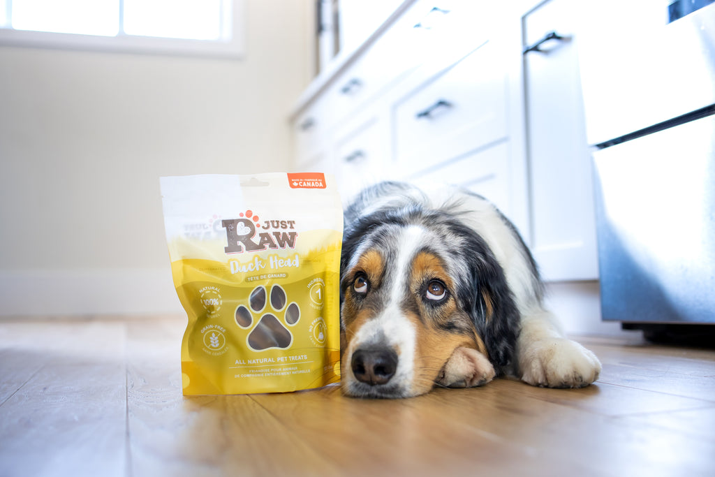 Dehydrated Duck Head Single Ingredient Dog Treats Just Raw Pet Food