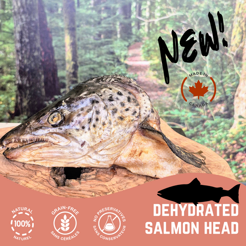 Dehydrated Salmon Head