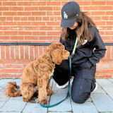 Colours by Emma - Forest Green Multi Use Hands Free Leash
