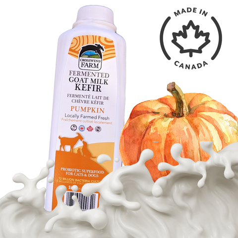 Fermented Goat Milk Kefir Pumpkin- Crosswind Farm