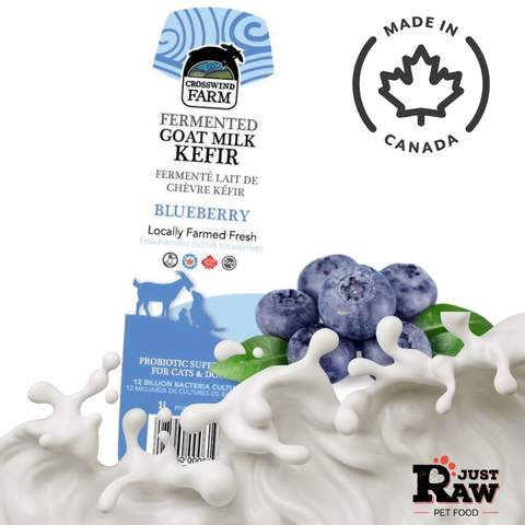 Fermented Goat Milk Kefir Blueberry- Crosswind Farm