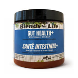 Gut Health + (Blends for life)