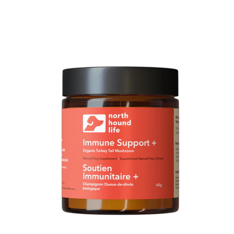 Immune Support+ (Turkey Tail Mushroom)