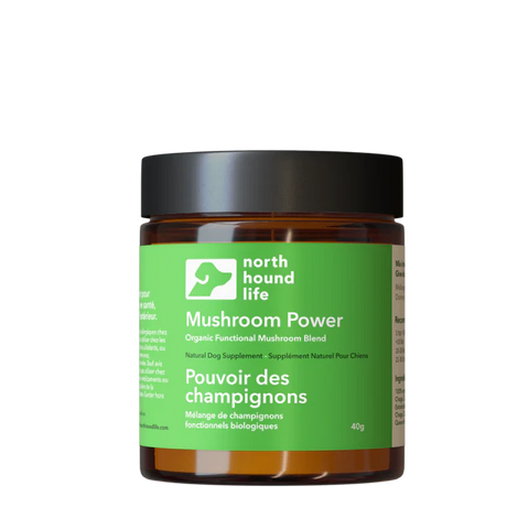 Mushroom Power (5 Mushroom Super Blend)
