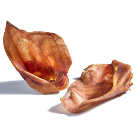 Dehydrated Giant Pig Ear