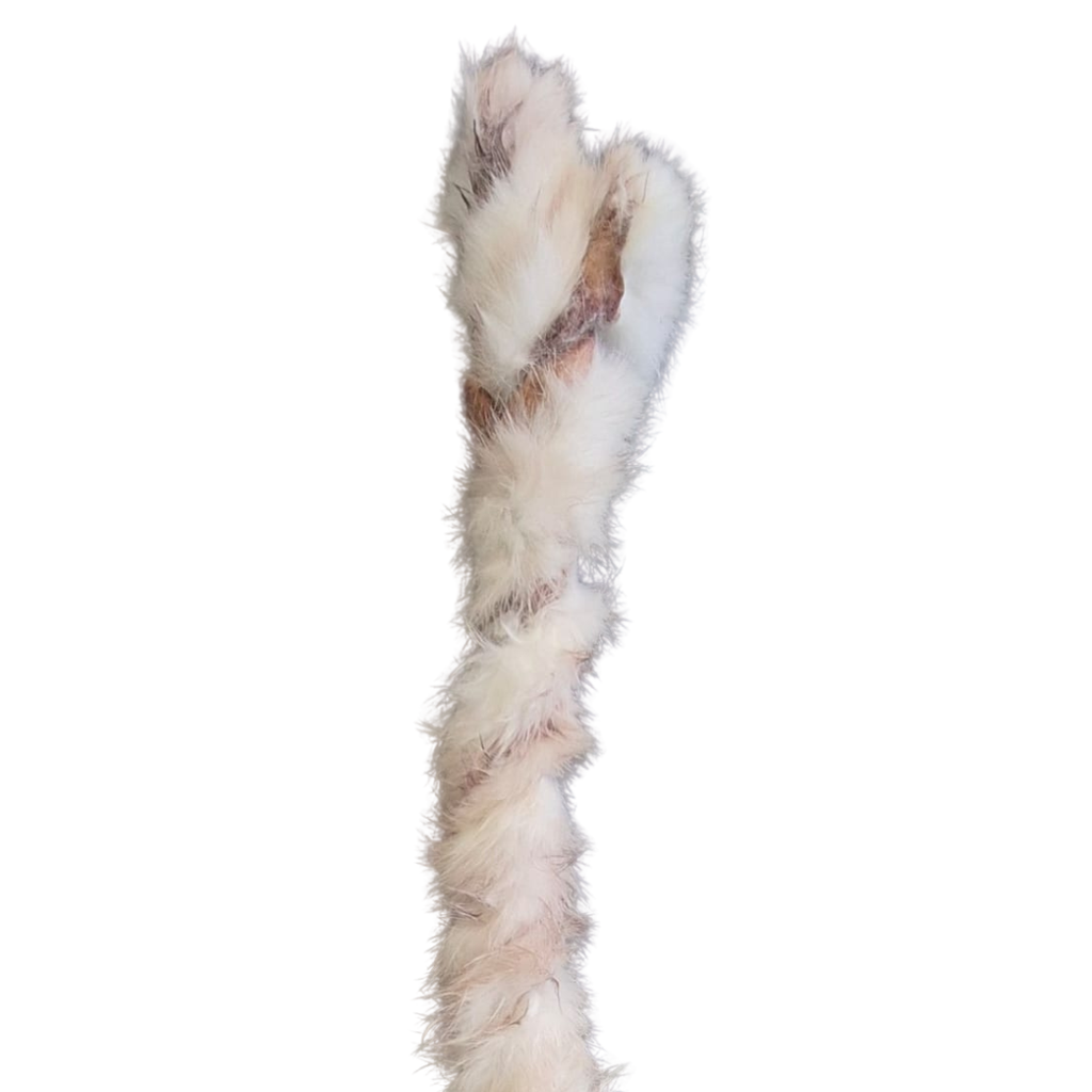 Dehydrated Rabbit Hide – Ontario-Sourced Crunchy Dog Chews ...