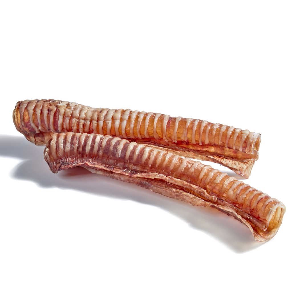 Beef Windpipe Dehydrated Beef Trachea (Large - 1 piece) | Just Raw Pet Food