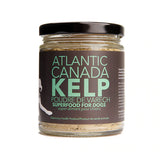 Atlantic Kelp
