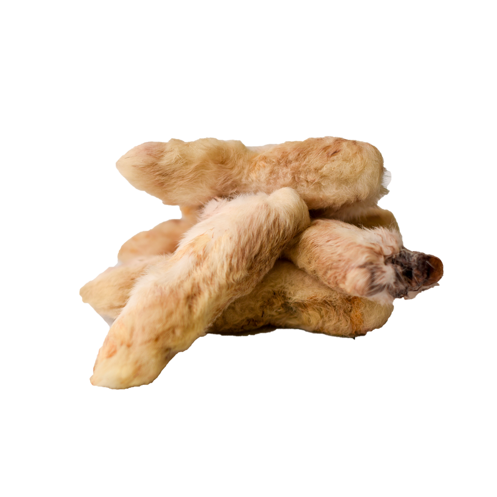 Raw Rabbbit Foot Raw Rabbit Feet (454g) - Healthy Meaty Bones for Dogs